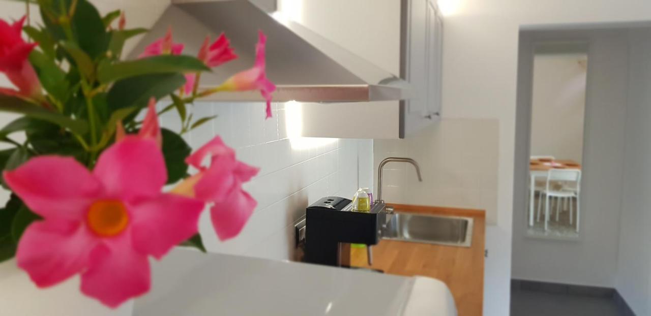 Il Cortile Segreto - Con Parcheggio Privato Διαμέρισμα Λέτσε Εξωτερικό φωτογραφία